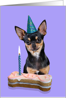Birthday Card featuring a black and tan Chihuahua card