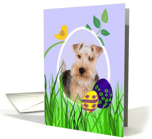 Easter Card featuring a Lakeland Terrier card (786630)
