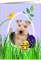 Easter Card featuring a Lakeland Terrier card