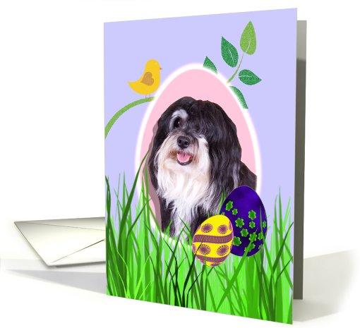 Easter Card featuring a Havanese card (789699)