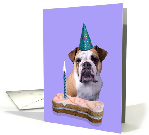 Birthday Card featuring an English Bulldog card (789712)
