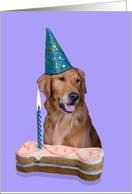 Birthday Card featuring a Golden Retriever card