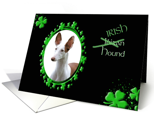 St Patrick's Greeting Card - (Irish) Ibizan Hound card (793643)
