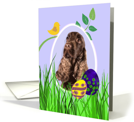 Easter Card featuring a liver English Cocker Spaniel card (793832)