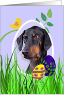 Easter Card featuring a Doberman Pinscher with natural ears card