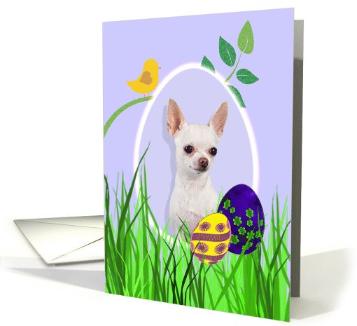 Easter Card featuring a white Chihuahua card (793987)