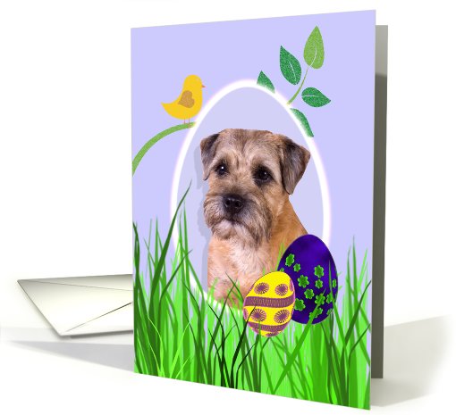 Easter Card featuring a Border Terrier card (794238)