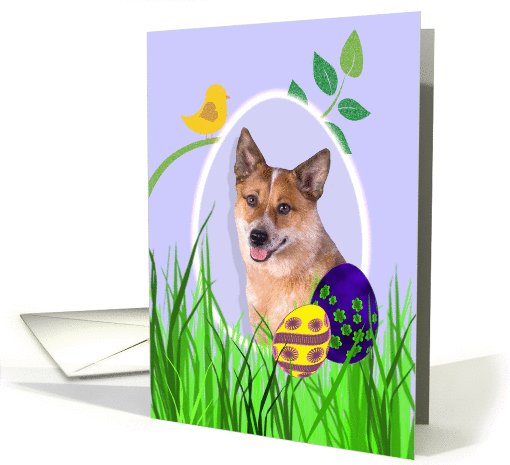 Easter Card featuring a red Australian Cattle Dog card (794260)