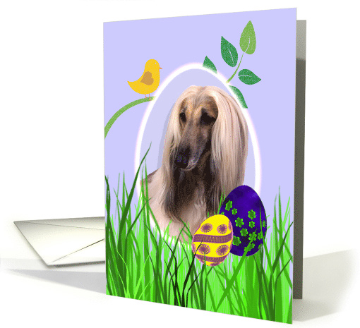 Easter Card featuring an Afghan Hound card (794281)