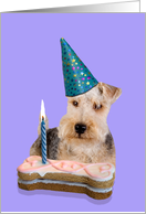 Birthday Card featuring a Lakeland Terrier card