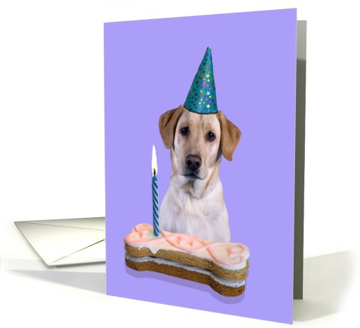 Birthday Card featuring a yellow Labrador Retriever card (794785)