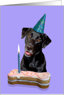 Birthday Card featuring a black Labrador Retriever card