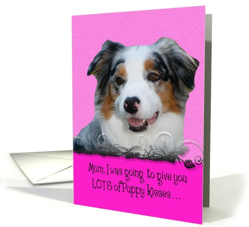 Mothers Day Licker License - featuring a blue merle... (795075)
