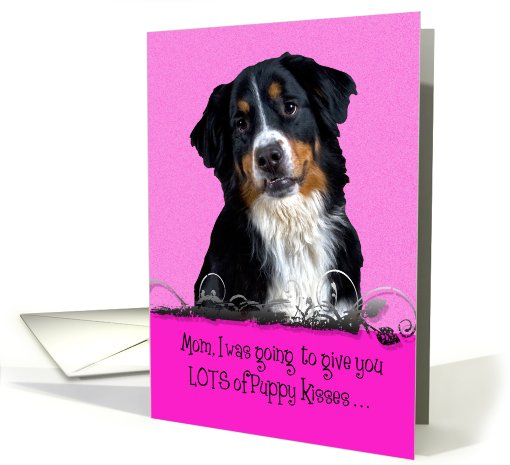 Mothers Day Licker License - featuring a Bernese Mountain Dog card