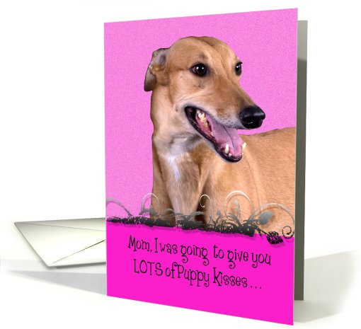 Mother's Day Licker License - featuring a Greyhound card (802388)
