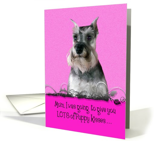 Mother's Day Licker License - featuring a Miniature Schnauzer card