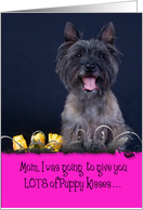 Mother’s Day Licker License - featuring a Cairn Terrier card