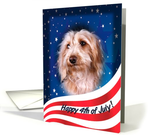 July 4th Card - featuring a wirehaired Dachshund card (818944)