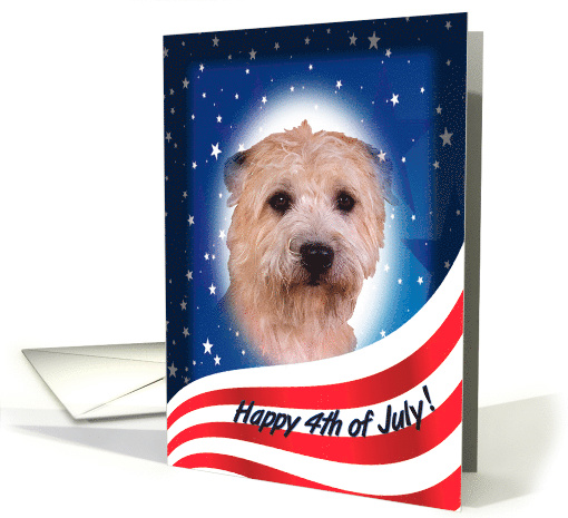 July 4th Card - featuring a Glen of Imaal Terrier card (823369)