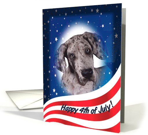 July 4th Card - featuring a Great Dane puppy card (823371)