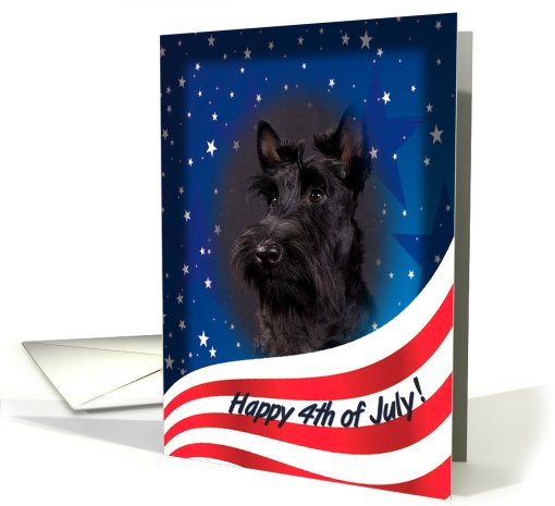 July 4th Card - featuring a Scottish Terrier puppy card (824089)
