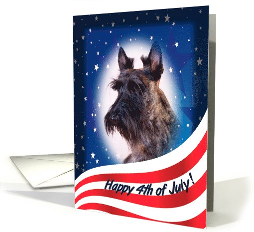 July 4th Card - featuring a brindle Scottish Terrier card (824091)