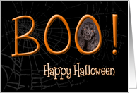 Boo! Happy Halloween - featuring a black Cocker Spaniel card