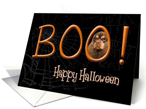 Boo! Happy Halloween - featuring a chocolate/tan Cocker Spaniel card
