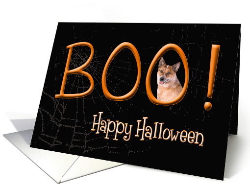 Boo! Happy Halloween - featuring an Australian Cattle Dog card