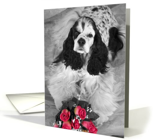 All Occasion card featuring a parti Cocker Spaniel with roses card