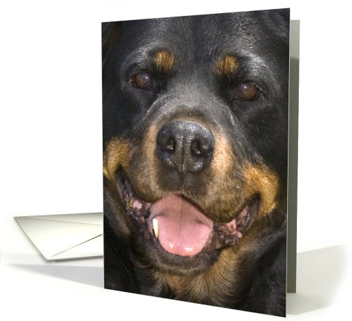 Hello! Greeting card featuring a smiling Rottweiler card (828340)