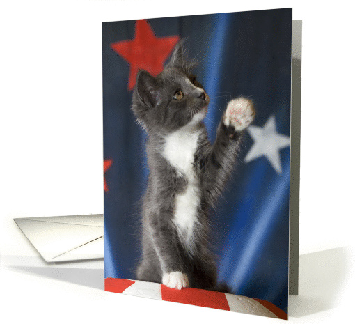 Celebrate Left Handers Day with this Southpaw Kitten card (828821)