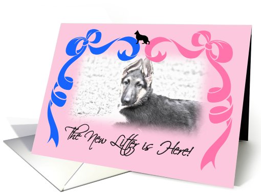 German Shepherd Dog New Litter Announcement card (830396)