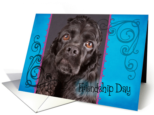 Friendship Day card featuring a black American Cocker Spaniel card