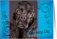 Friendship Day card featuring a black American Cocker Spaniel card