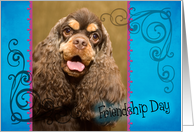 Friendship Day card featuring a chocolate/tan American Cocker Spaniel card
