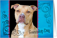 Friendship Day card featuring an American Staffordshire Terrier card