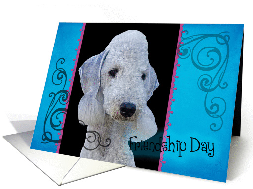 Friendship Day card featuring a Bedlington Terrier card (833953)
