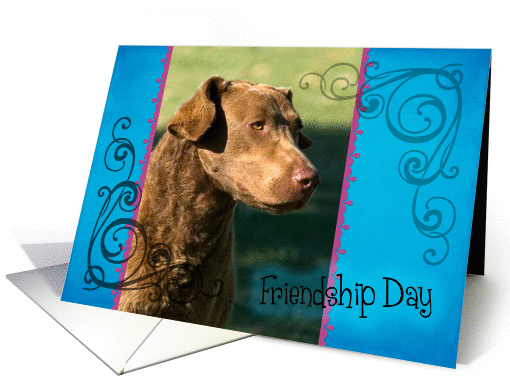 Friendship Day card featuring a Chesapeake Bay Retriever card (833958)