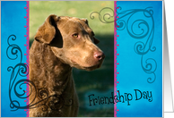 Friendship Day card featuring a Chesapeake Bay Retriever card