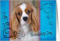 Friendship Day card featuring a Cavalier King Charles Spaniel card