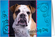 Friendship Day card featuring a Bulldog card
