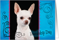 Friendship Day card featuring a white Chihuahua card