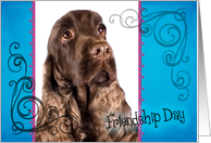 Friendship Day card featuring a liver English Cocker Spaniel card