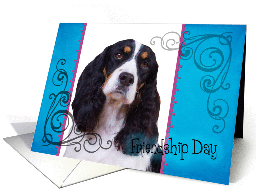 Friendship Day card featuring a black/white tri English... (833984)