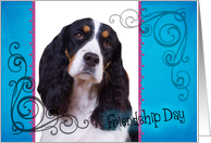 Friendship Day card featuring a black/white tri English Springer Spaniel card