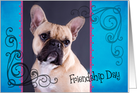 Friendship Day card featuring a French Bulldog card