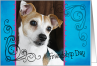 Friendship Day card featuring a Jack Russell Terrier card