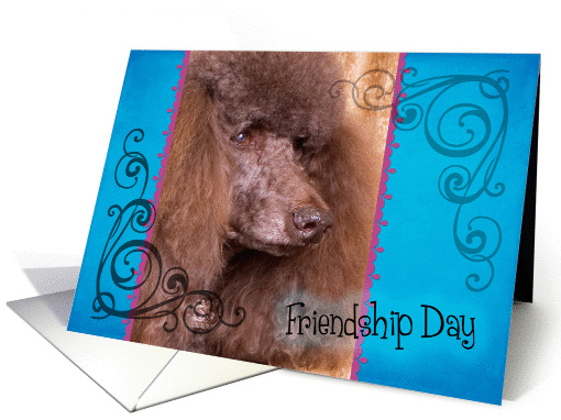 Friendship Day card featuring a brown Standard Poodle card (834124)