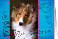 Friendship Day card featuring a Shetland Sheepdog puppy card